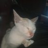 aripin_s.871