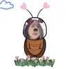 _nngc.mew