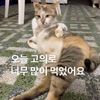 다이어트일기장