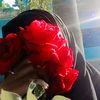jr.najmun.nahar1