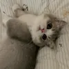 mininnaaa
