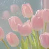 kathy.954