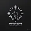 perspective_dm77