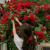 rozan.karam