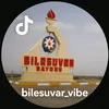 bilesuvar_vibe