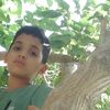 mohamed.noree