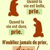 user93938780883507
