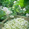 arafat.ahmed4870