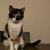 caty8710