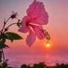 moriom.akther572