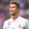 bashir.goat0