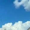 poko03124