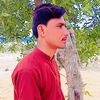 alinawaz.holani