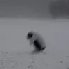 luuvymegame