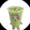 onyok_1000