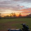 korong14
