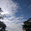 arcilla_5