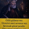 sarisinim__