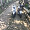 darul.maulana65