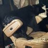 labradorlover53