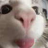 _gg.g.gg