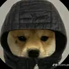 kumulala007