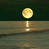 ayman.moussa7