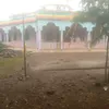 walbelayaddis