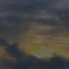 meddy_155