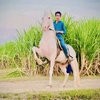 rider.junaid.arif