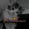 عاشق الليل وحدي 💔🍂