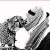 llove.you36