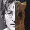 tompuggy8