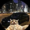 jorge_h61