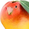 logafin7