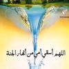 user1239619511190