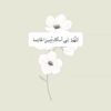 ADEL_SALEM