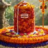 junumaya.bista