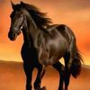 sneyder.salvatier