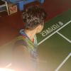 pemudahijrah.boncelboys