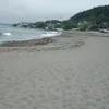 amy.natividado