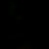 arveees_