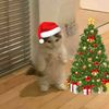 navidad855