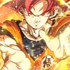 user137013238002