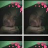 mirawww77