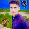 muhammadshafeeq077