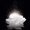le.thihong0