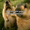 l4sekkehapis