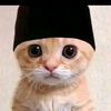 abdullah.wafa45