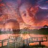 Naveed Naveed